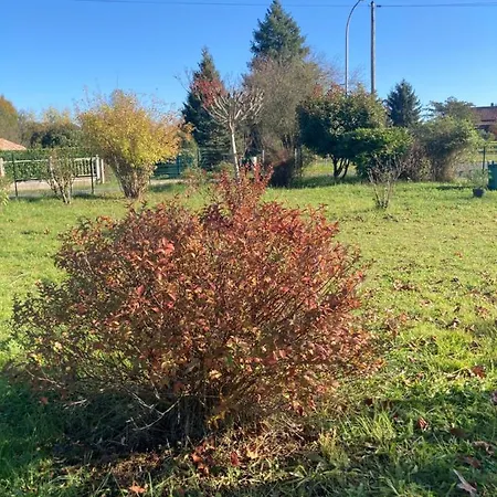 Au Petit Bonheur Le Bugue