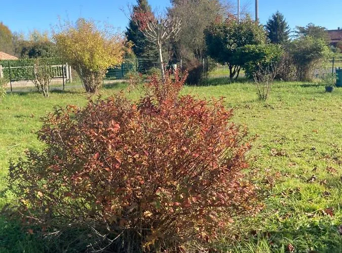 Au Petit Bonheur Le Bugue